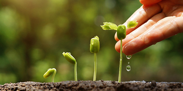 b2b lead nurturing thumbnail